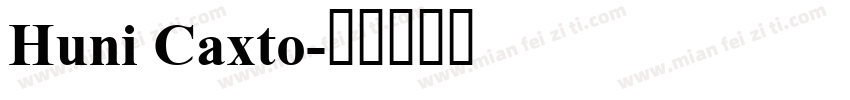Huni Caxto字体转换
